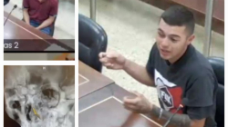 ¿Quién apuñaló a estudiante en la Plaza de Bolívar de Manizales? Ladrones se señalan 