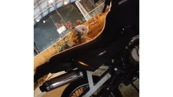 Video: hombres armados hostigan estación de Policía en límite entre Caldas y Antioquia