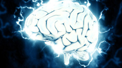 Identifican cambios tempranos en el cerebro que podrían anticipar el riesgo de alzhéimer