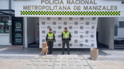 Perro antidrogas de la Policía halla caneca con marihuana en la Terminal de Manizales