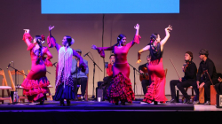 La Feria de Manizales del 2025 vendrá cargada de estrellas de la música
