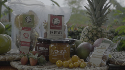Municipio del Centrosur de Caldas está en la COP16 con proyecto de frutas deshidratadas