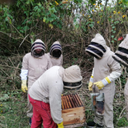 Apiario Der Imker, una cosecha de miel tradicional 