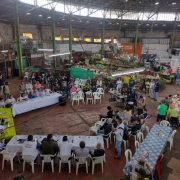Invertirán $1.600 millones para mantenimiento de La Galería en Manizales 