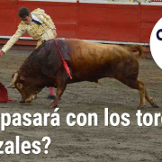 Un Café con azúcar, que causa la misma polémica que los toros en Manizales