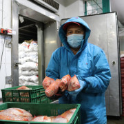 Colombia cuenta con 30 mil toneladas de pescado para la Semana Santa