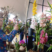 Las orquídeas alegran a Manizales en la Exposición Nacional