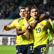Selección Colombia jugará amistosos contra Irak y Alemania en junio