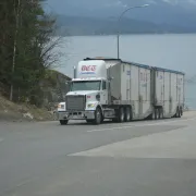 Transportadores reclaman garantías para renovar la flota