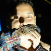 Polillas, más allá de las supersticiones: conozca su importancia y diversidad