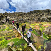 Ruta cerca del volcán Nevado del Ruiz, una travesía imperdible para los turistas