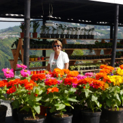 Empresa de Villamaría (Caldas) se planta con sus materos en Estados Unidos
