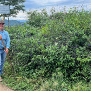 Recomiendan prácticas agrícolas sostenibles