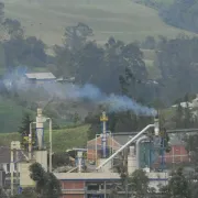 La producción industrial de Colombia cayó un 2,1 % en junio