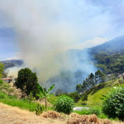 Reportan incendio forestal en la vereda Bajo Tablazo de Manizales