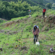 Huila sigue de líder en producción de café y Caldas es quinto 