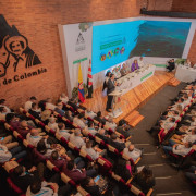 El 2024, con más producción de café que consumo en el mundo