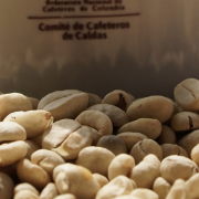 Dos mujeres integran la terna para elegir nuevo director del Comité de Cafeteros de Caldas