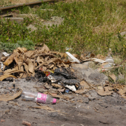 Arauca, corregimiento de Palestina (Caldas), le hace frente al mosquito del dengue