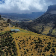 Compra de predios, estrategia para proteger la cuenca del río Chinchiná 