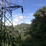 Infis de Caldas y Manizales, con cerca de $29 mil millones de dividendos de Chec