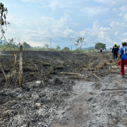 Incendio en la vereda Kilómetro 41 de Manizales quemó cuatro hectáreas de un terreno