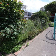 Reclaman por transformación de zona recreativa en el parque del barrio Malabar (Manizales)