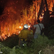 Incendios causaron estragos en seis municipios de Caldas esta semana