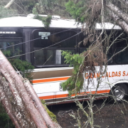 Un vendaval se lleva una vida en la vereda Gallinazo de Villamaría