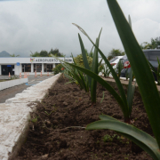 Solicitan mantenimiento a jardines del aeropuerto La Nubia en Manizales