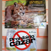 Habitantes de Montaño piden acciones rápidas y expertos responden dudas frente al puma 
