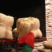 Producción de café 2024 romperá los 12 millones de sacos: unos le apuestan a 14 millones 