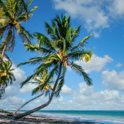Guía de las hermosas playas de la República Dominicana