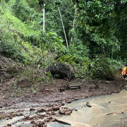 Amaneció cerrada por derrumbe la vía entre Arauca y La Rochela, en Palestina (Caldas)