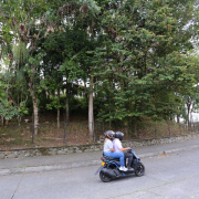 Lo monumental es la falta de poda desde hace 8 meses en un barrio de Manizales