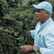 Cafeteros de Caldas, firmes con las prácticas ambientales: esperan nueva certificación