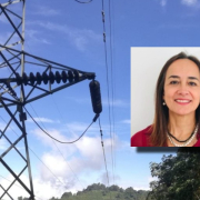 Confirmado, Martha Libia Castaño Tovar es la nueva gerente de la Chec: se aprobó en junta