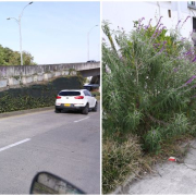 Ornatos florales afean el Bulevar de la 19 y la avenida Kevin Ángel de Manizales