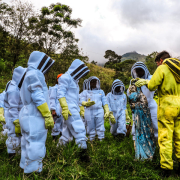 Marmato (Caldas) muestra otra oportunidad productiva con proyecto apícola en la COP16 