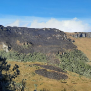 Incendio cerca del PNN Los Nevados, extinguido: las lluvias terminaron de apagar el fuego