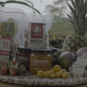 Municipio del Centrosur de Caldas está en la COP16 con proyecto de frutas deshidratadas