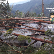 Vendaval afectó corregimiento del oriente de Caldas: árbol cayó sobre vivienda