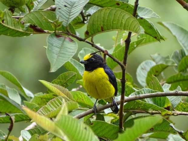 Fotos | Cortesía Bernardo José Jiménez Mejía | LA PATRIA Fotos | Cortesía Bernardo José Jiménez Mejía | LA PATRIA