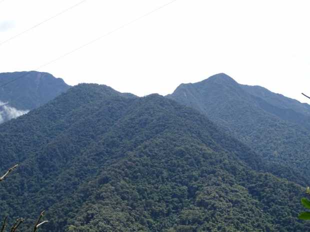 Fotos | Cortesía Bernardo José Jiménez Mejía | LA PATRIA Fotos | Cortesía Bernardo José Jiménez Mejía | LA PATRIA