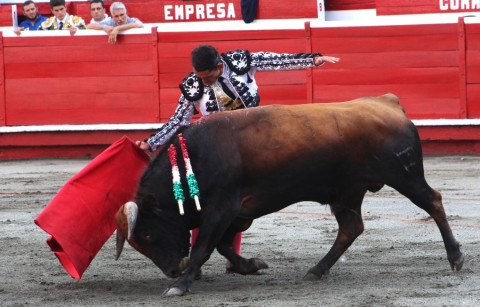 Toros