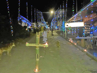 Pensilvania Foto | Óscar Gómez | LA PATRIA El corregimiento de Pueblo Nuevo lució el alumbrado navideño con la noche de faroles. Carreras, calles y bocacalles quedaron arropadas con las luces multicolores para darle la bienvenida a la época de diciembre. Un grupo de trabajo orientado por Fáber Cardona, líder social, se encargó de la instalación de las iluminaciones.