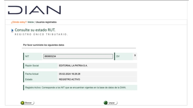 Resultados de una consulta de RUT de la DIAN