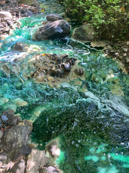 Este tono verde esmeralda lo registró la quebrada Cristales a medios de febrero de este año. 