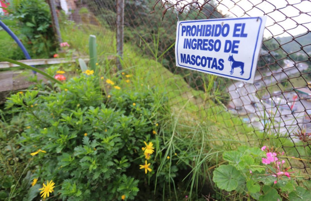 Este jardín en el barrio Los Cedros esta cerrado para que los perros no lo dañen.