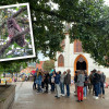 Encantados con búho orejudo en el Parque Caldas